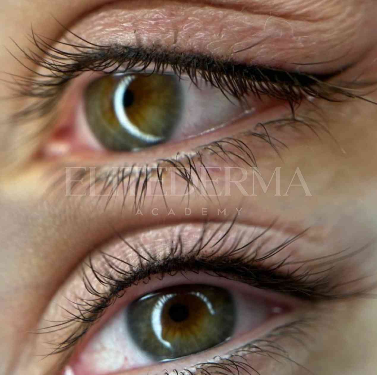 Trucco Blindato: Innovazione per Pelli Normali e Secche, image size:1269x1261